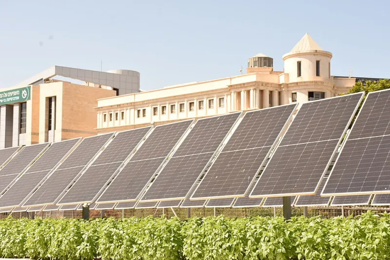 Fields of Two Harvests: The Quiet Agrivoltaic Revolution Transforming American Farmland